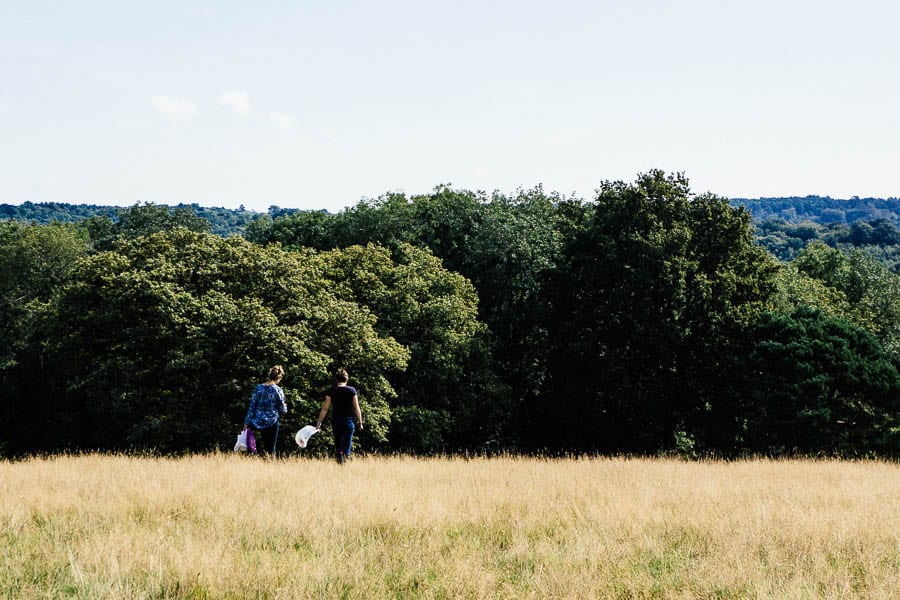 Mushroom foraging in pasture land