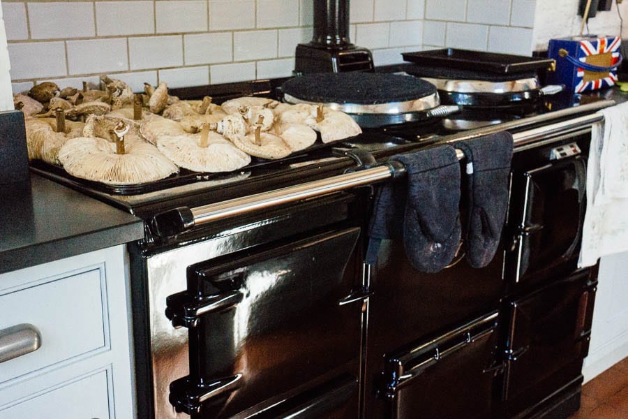 Parasol mushrooms lying on top of hot Aga