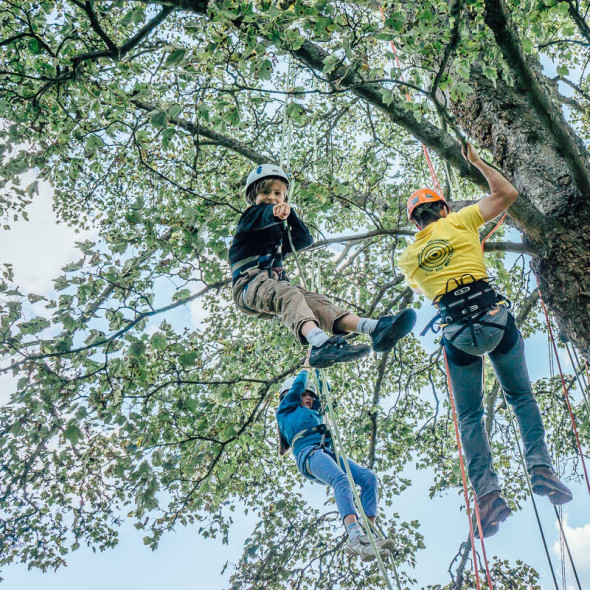 Pointing and tree climbing