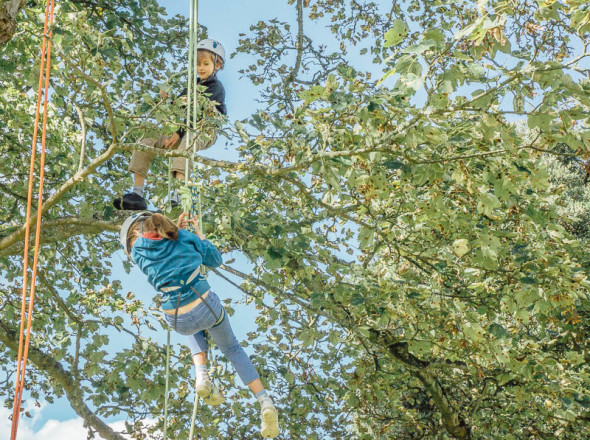 Ropes and kids in tree