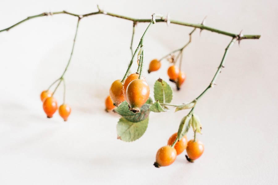 Rosehips on white plate