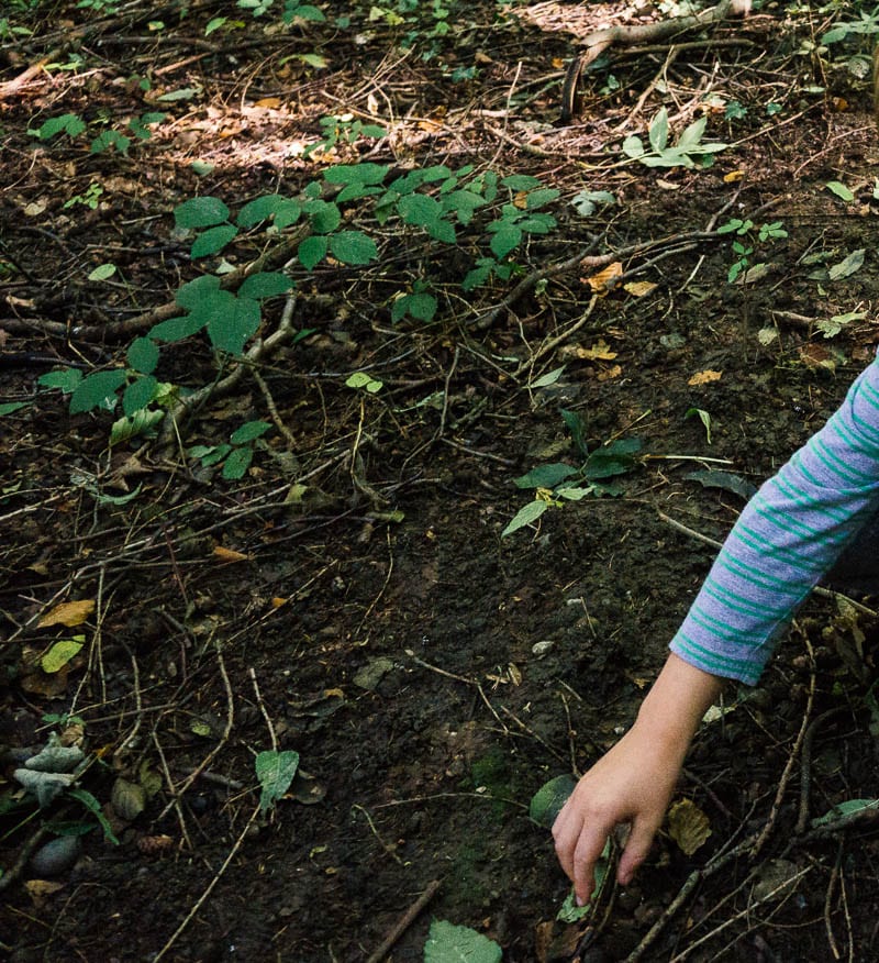 Searching wood ground in scavenger hunt