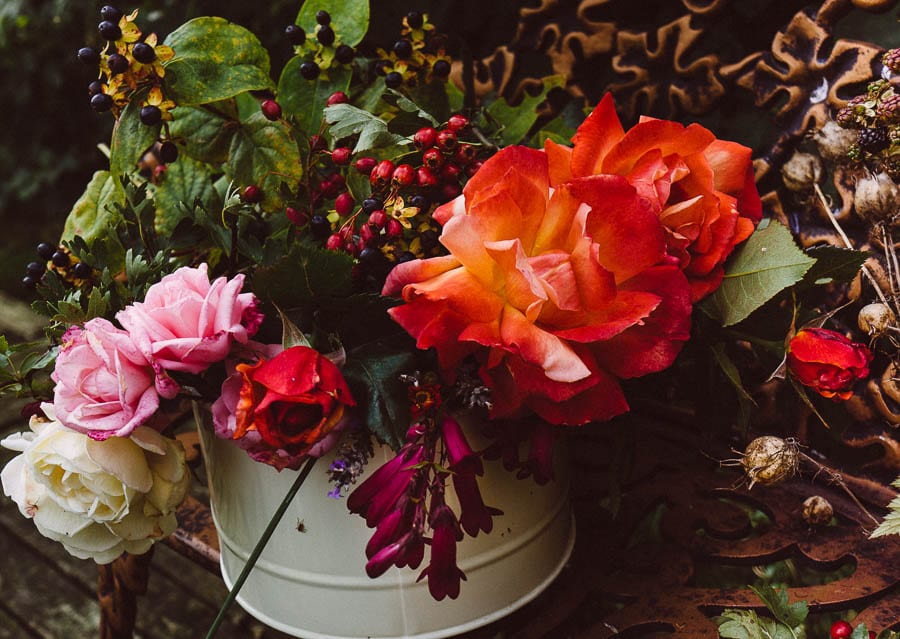 September roses and dried seed pods