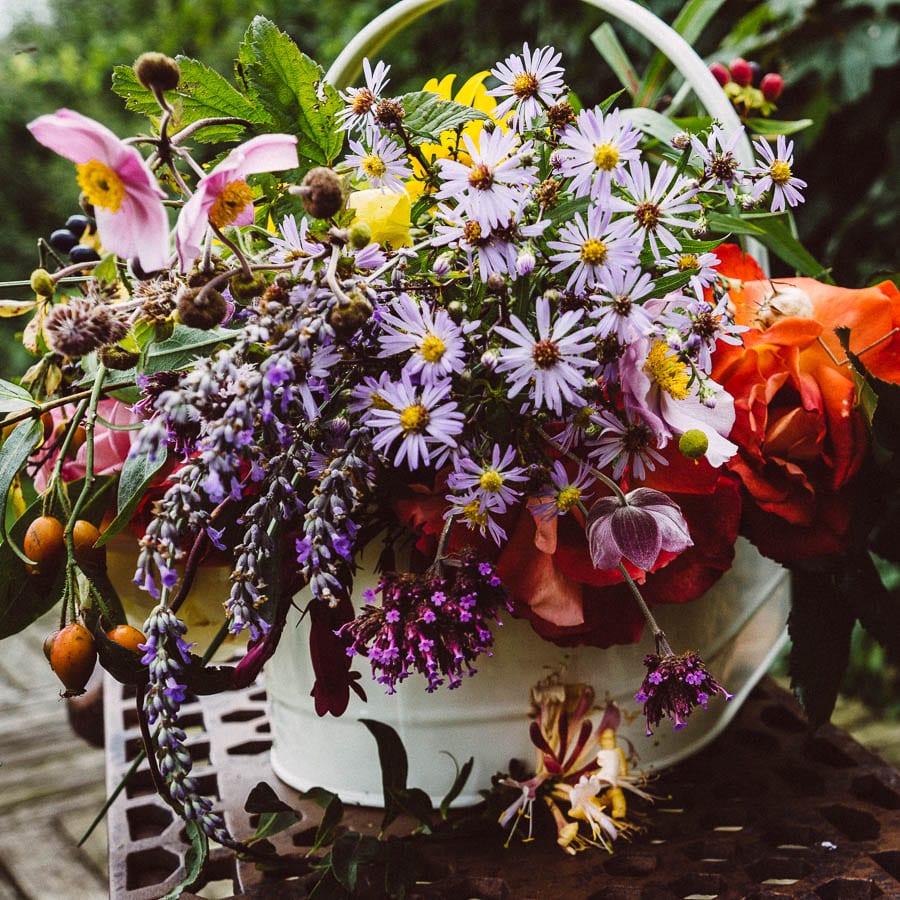 September daisies anemones lavender roses honeysuckle