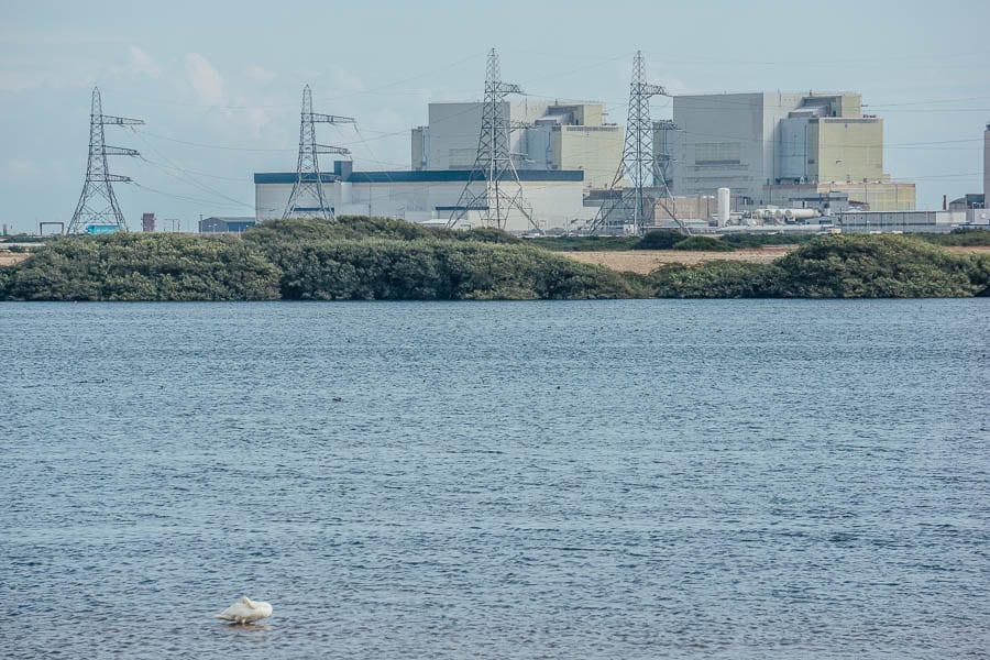 Swan and power station RSPB Dungeness