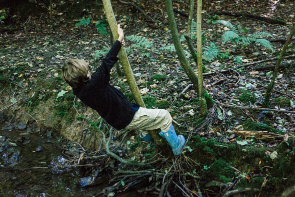 Swinging on tree by stream