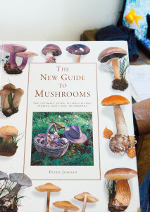 The New Guide to Mushrooms book