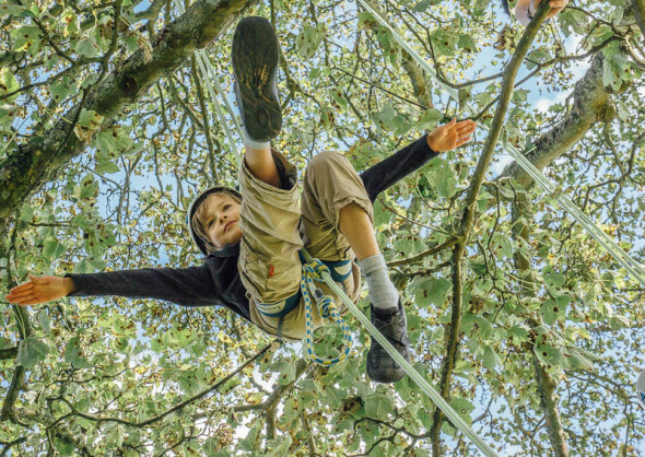 Theo recreational tree climbing