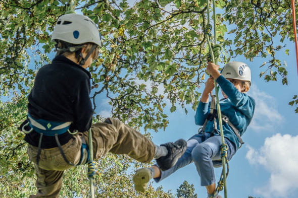 Twins kicking on tree climb