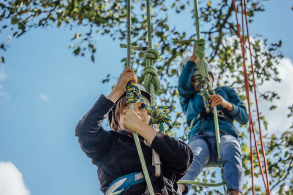 Twins starting tree climb