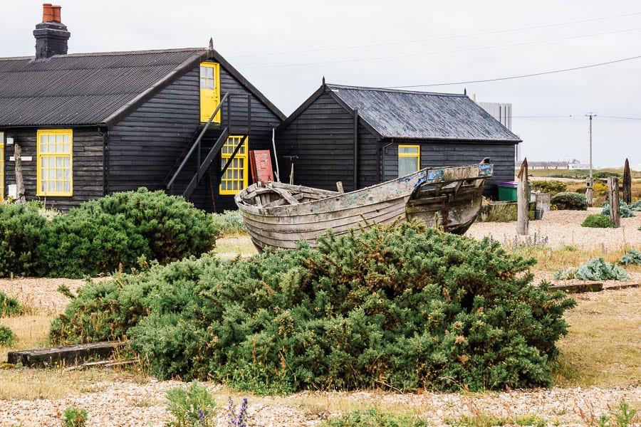 Derek Jarmans Garden Gorse bush