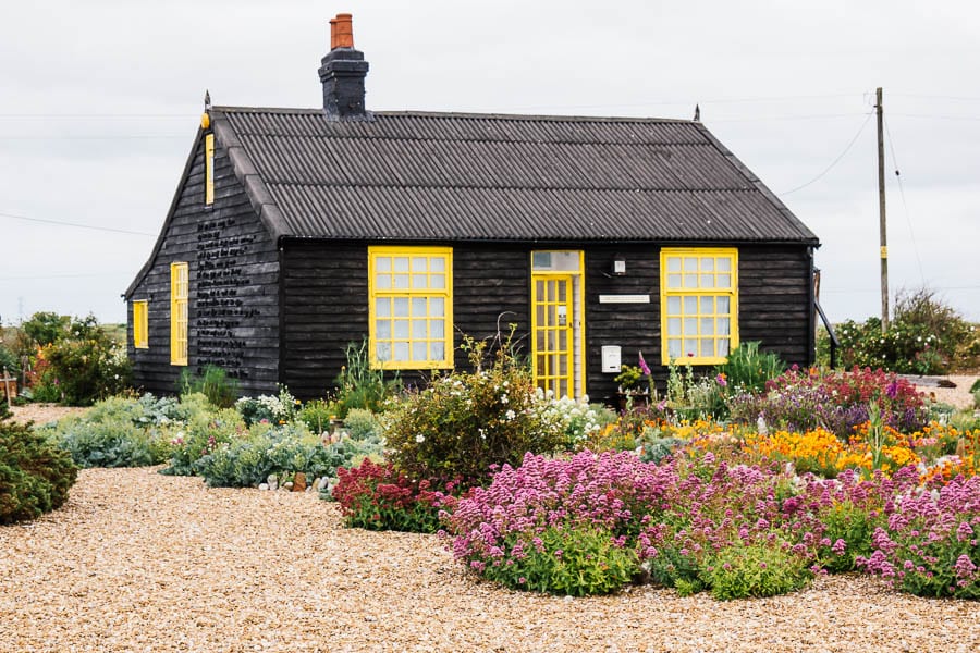 Derek Jarmans Garden Prospect Cottage in June