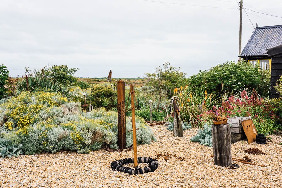 Derek Jarmans Garden flowers and driftwood