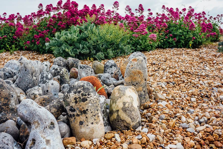 Derek Jarmans Garden rock circle and flowers