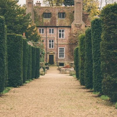 Groombridge Place Yew lined alley to house