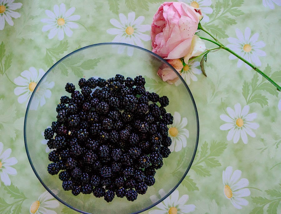 Pink rose and blackberries on table