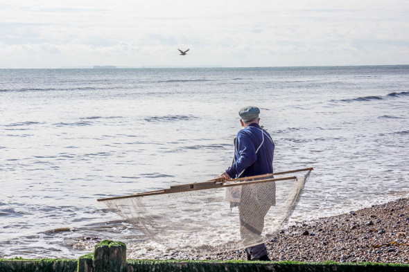 Shrimping at Kingsdown Kent with net