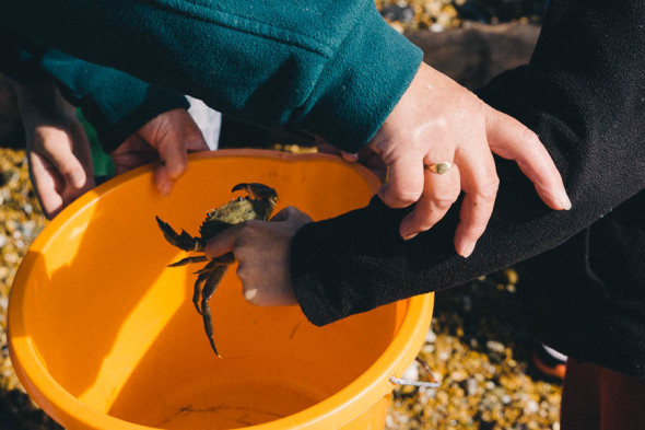 Shrimping in Kent and Theo with crab