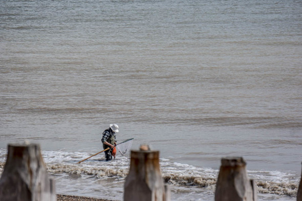 Shrimping in Kent with small net on beach