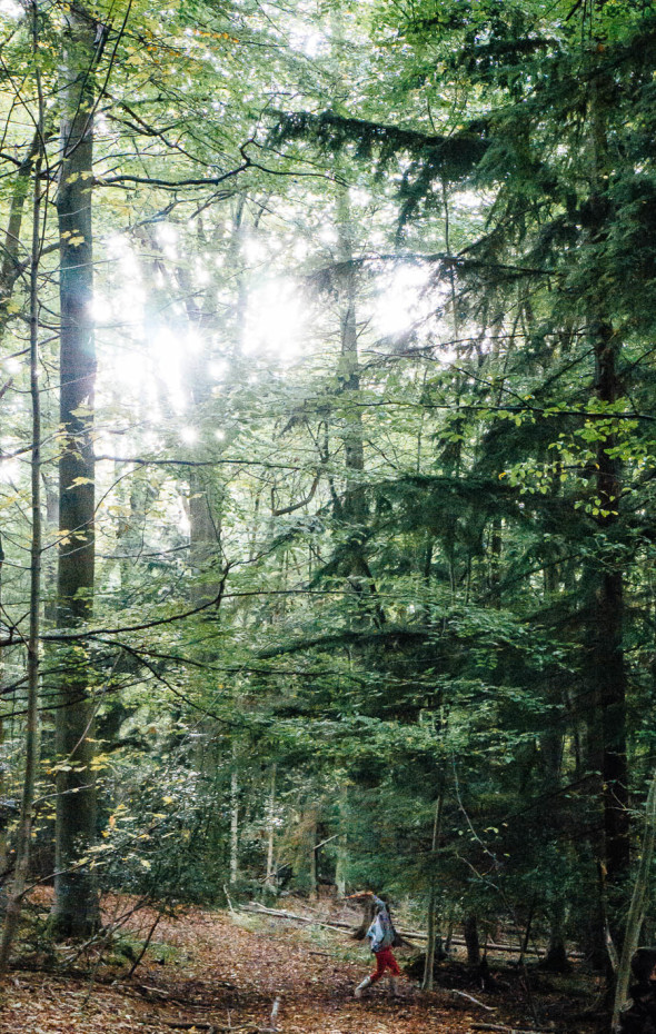 Sword fight in woods