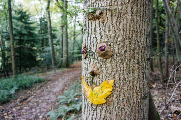 Tree face and path