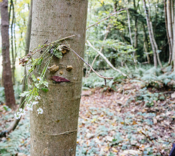 Tree face daisy hair leaf lips