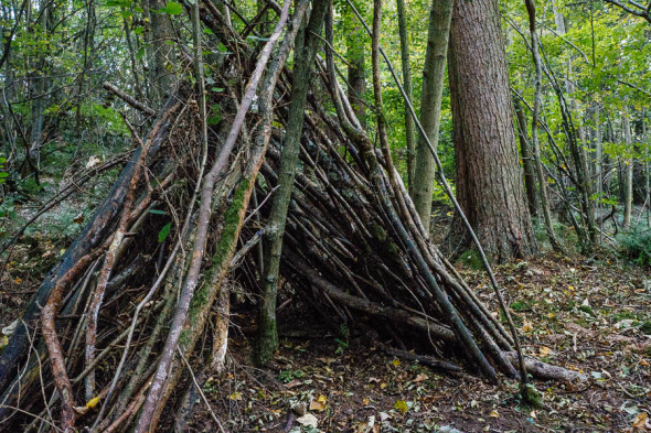 Den castle in the woods