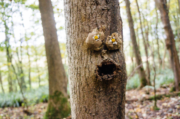 Tree faces with daisy eyes