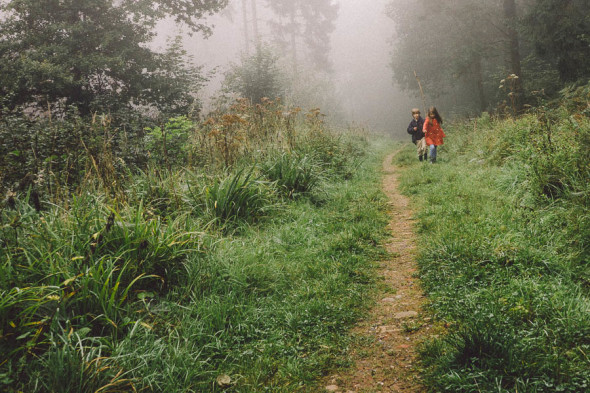 Walk in mist in woods