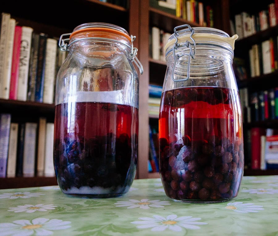 Wild plum gin and vodka in jars