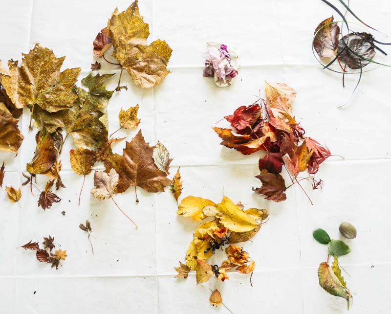 Autumn leaf colours in piles