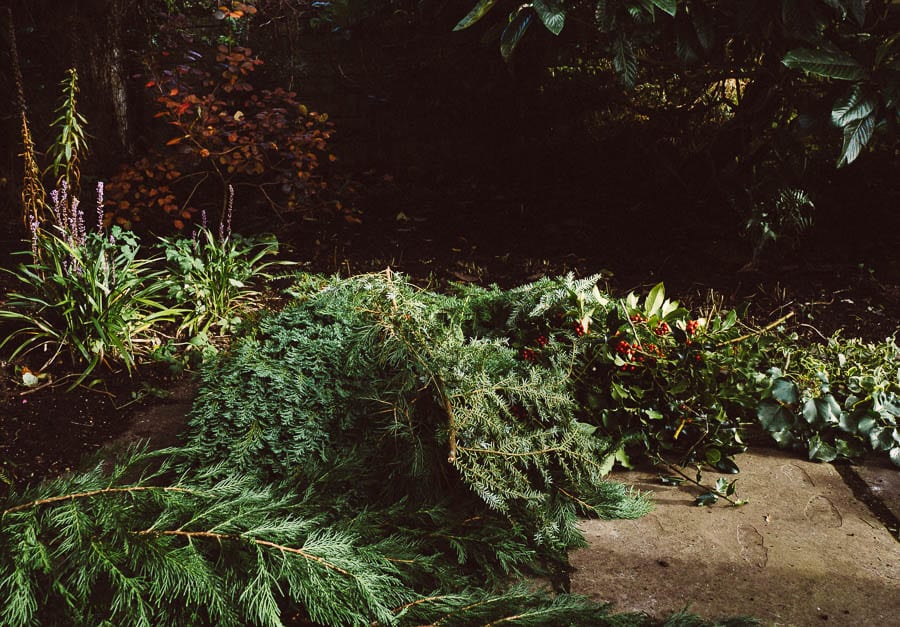 Christmas wreath spruce tree ivy holly