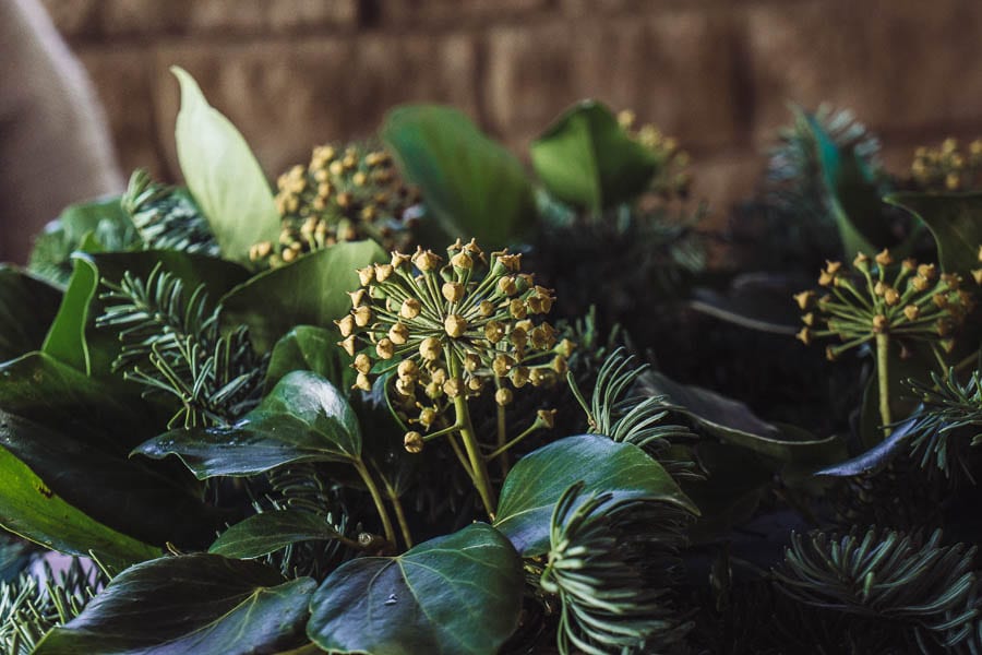 Christmas wreath tree ivy