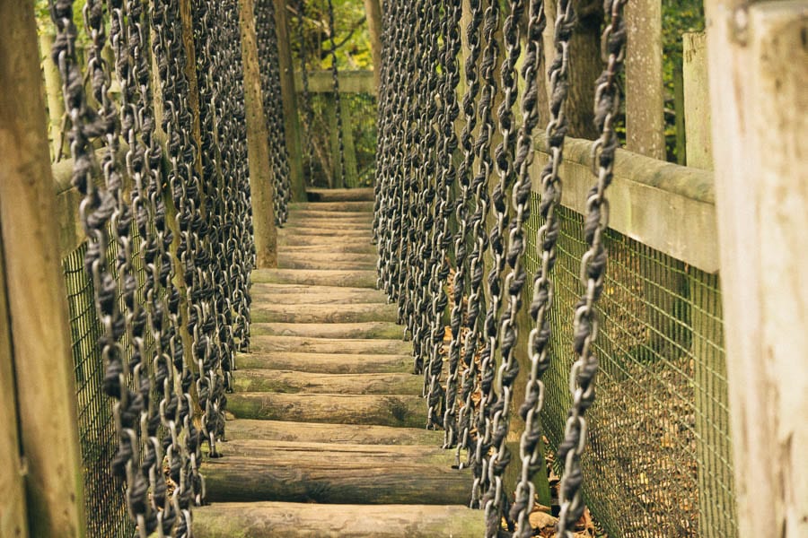 Groombridge boardwalk wood steps