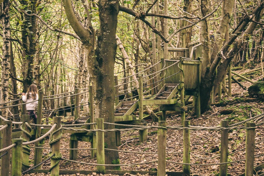 Groombridge Place Dark Walk boardwalk