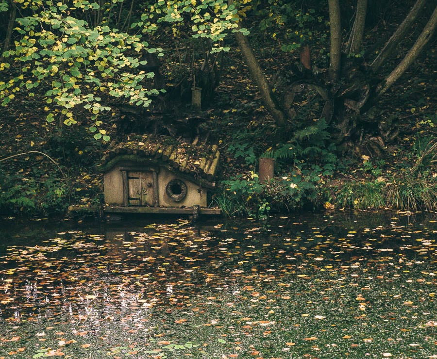 Groombridge Place Mossy Bottom