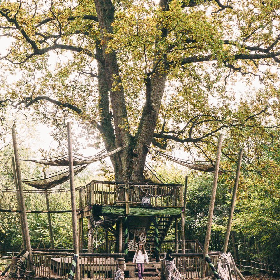 Groombridge Place Crusoe play area