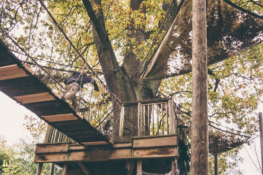 Groombridge Place treehouse walkway