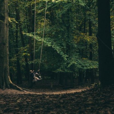 Groombridge Place Enchanted Forest swing