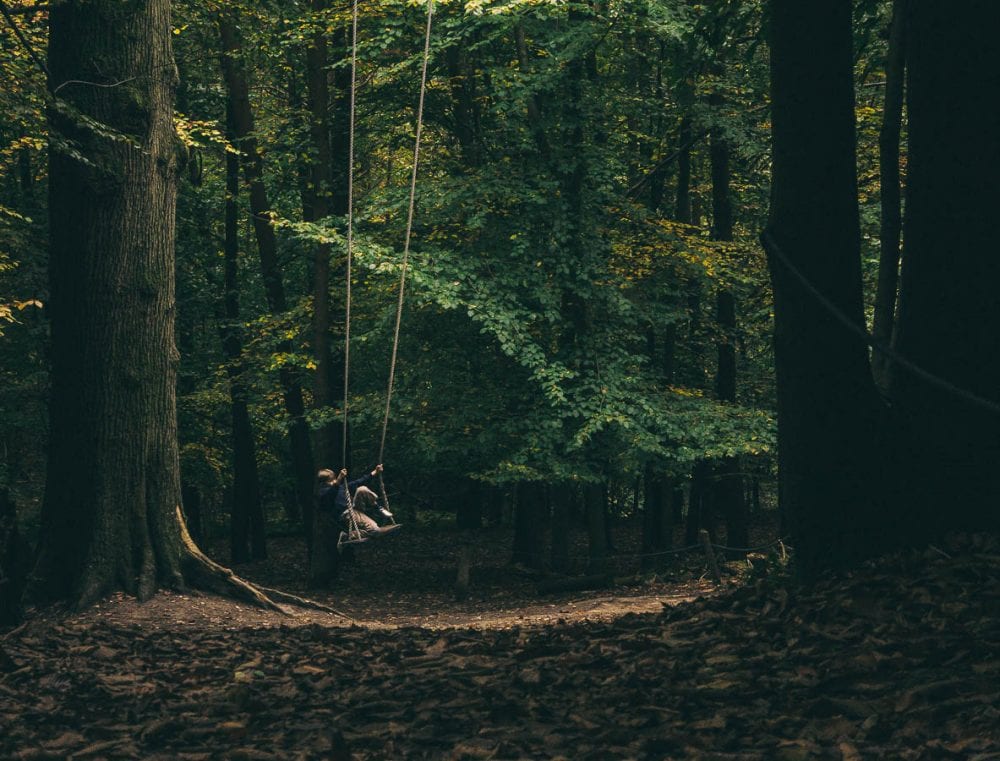 Groombridge Place Enchanted Forest swing