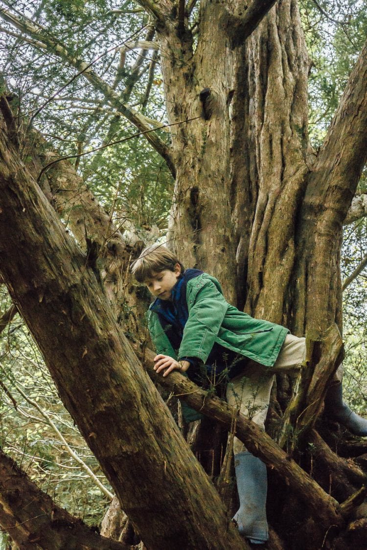 Let them climb trees with child in branches