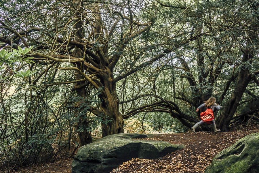 Let them climb trees