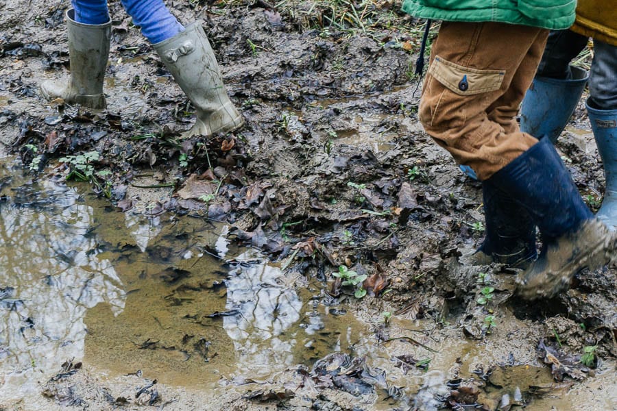 Mud Puddle Walk fun for kids