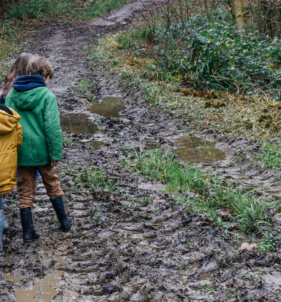 Mud Puddle Walk puddles