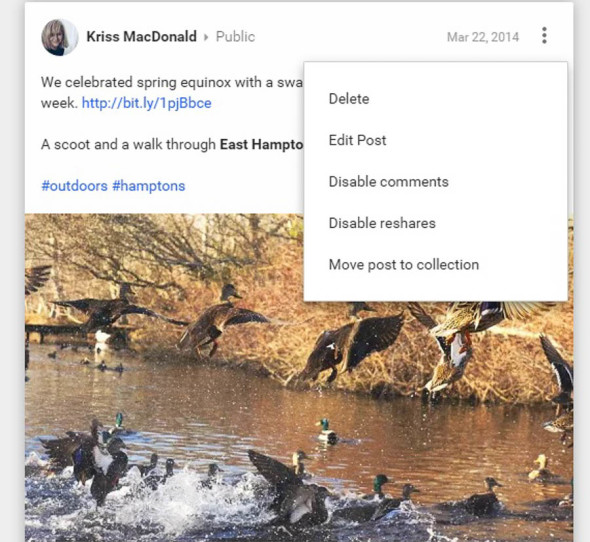 New Google + and Collections - Wild About Here