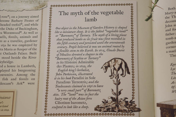 The Plant Hunters Myth of the Vegetable Lamb