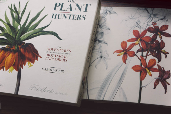 The Plant Hunters book and cover box