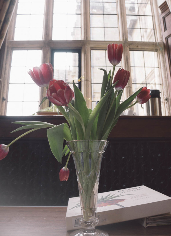 The Plant Hunters vase of tulips