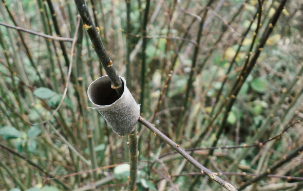 Winter bird feeding toilet roll finished 