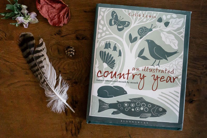 An Illustrated Country Year by Celia Lewis